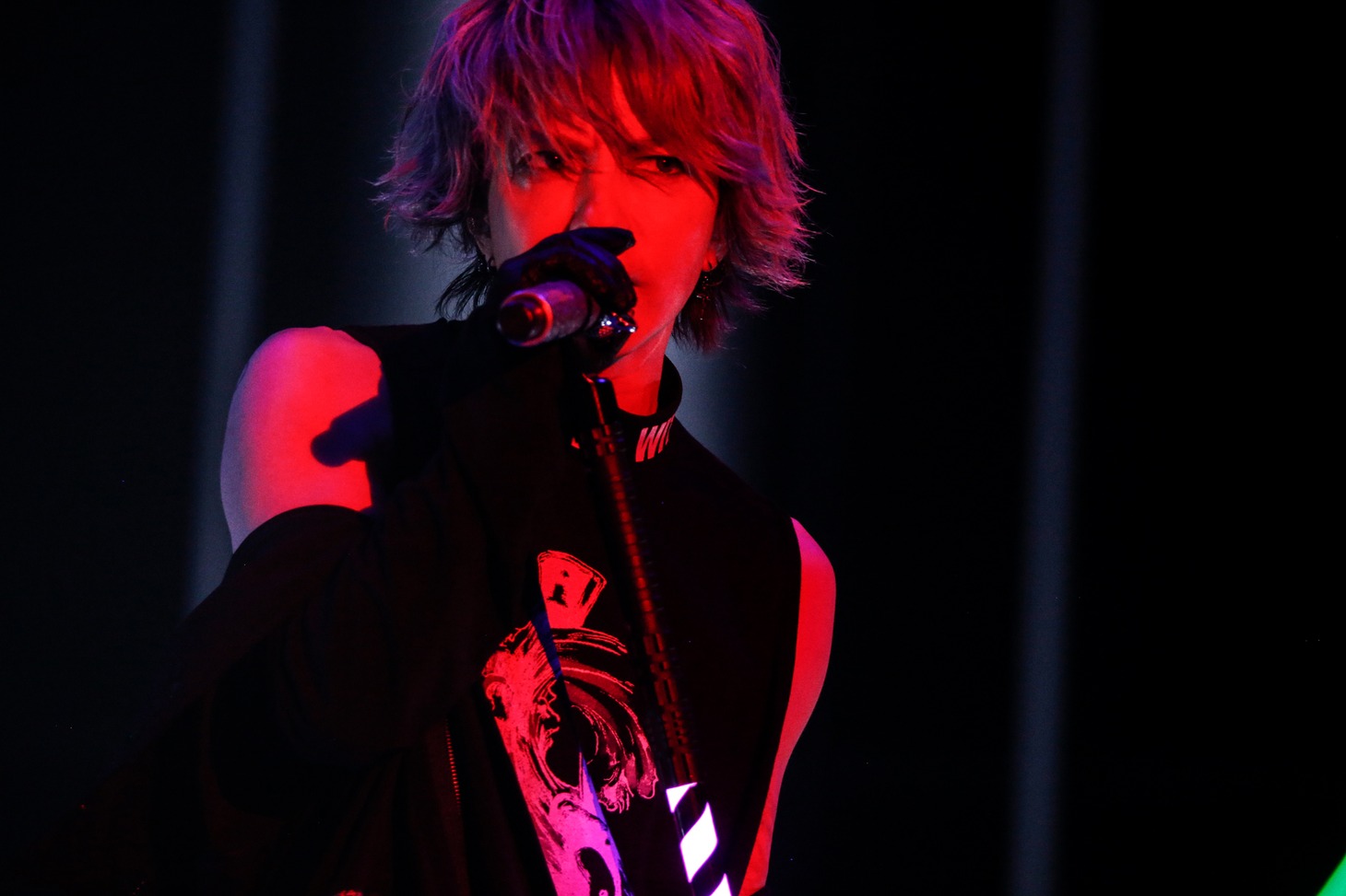「30th L'Anniversary Starting Live "L'APPY BIRTHDAY!"」5月30日公演のhyde（Vo）。
