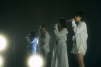 Maison book girl「Solitude HOTEL」の様子。（撮影：稲垣謙一）
