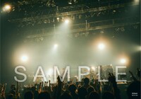 ASIAN KUNG-FU GENERATION「映像作品集16巻 Tour 2020 酔杯2～The Song of Apple～」購入者特典ビジュアルシート