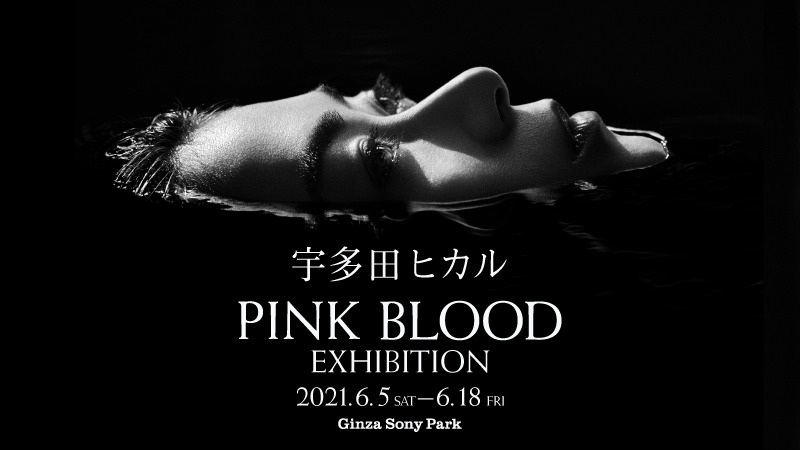 「宇多田ヒカル『PINK BLOOD』EXHIBITION」ビジュアル
