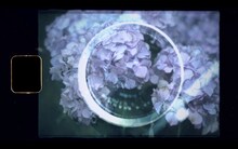 Sano ibuki「pinky swear」ミュージックビデオより。