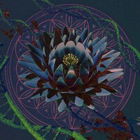 釈迦坊主「loess」配信ジャケット