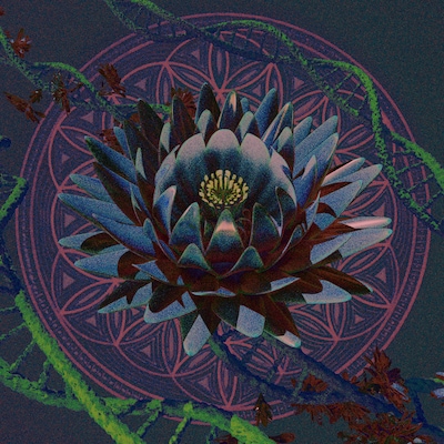 釈迦坊主「loess」配信ジャケット