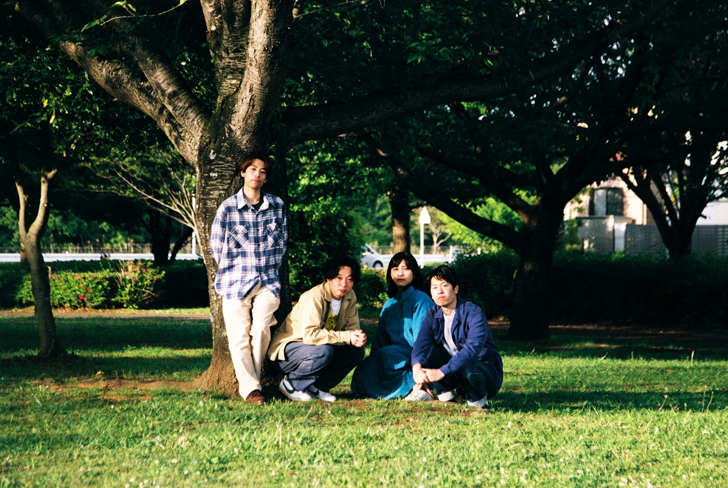 THE TREES