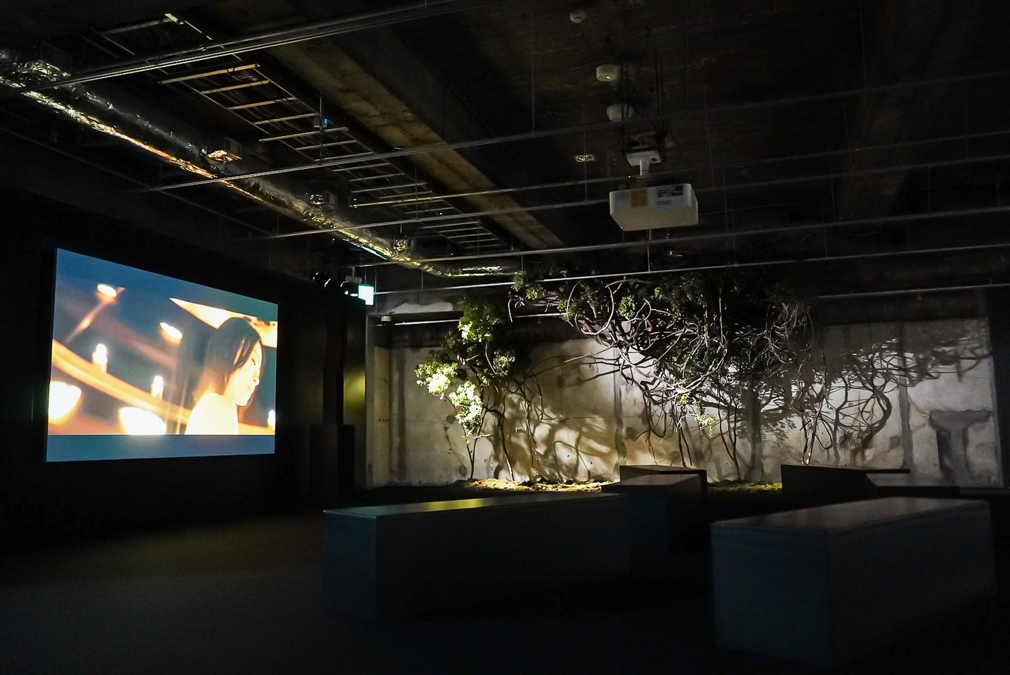 「宇多田ヒカル『PINK BLOOD』EXHIBITION」の様子。