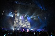femme fatale、全国4都市を巡る夏のZeppツアー