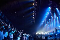 向井太一「COLORLESS TOUR 2021」Zepp DiverCity（TOKYO）公演の様子。（Photo by Yosuke Torii）