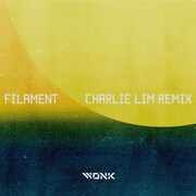 WONK「Filament - Charlie Lim Remix」配信ジャケット