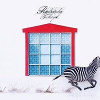 Handsomeboy Technique「TECHNIQUE」ジャケット