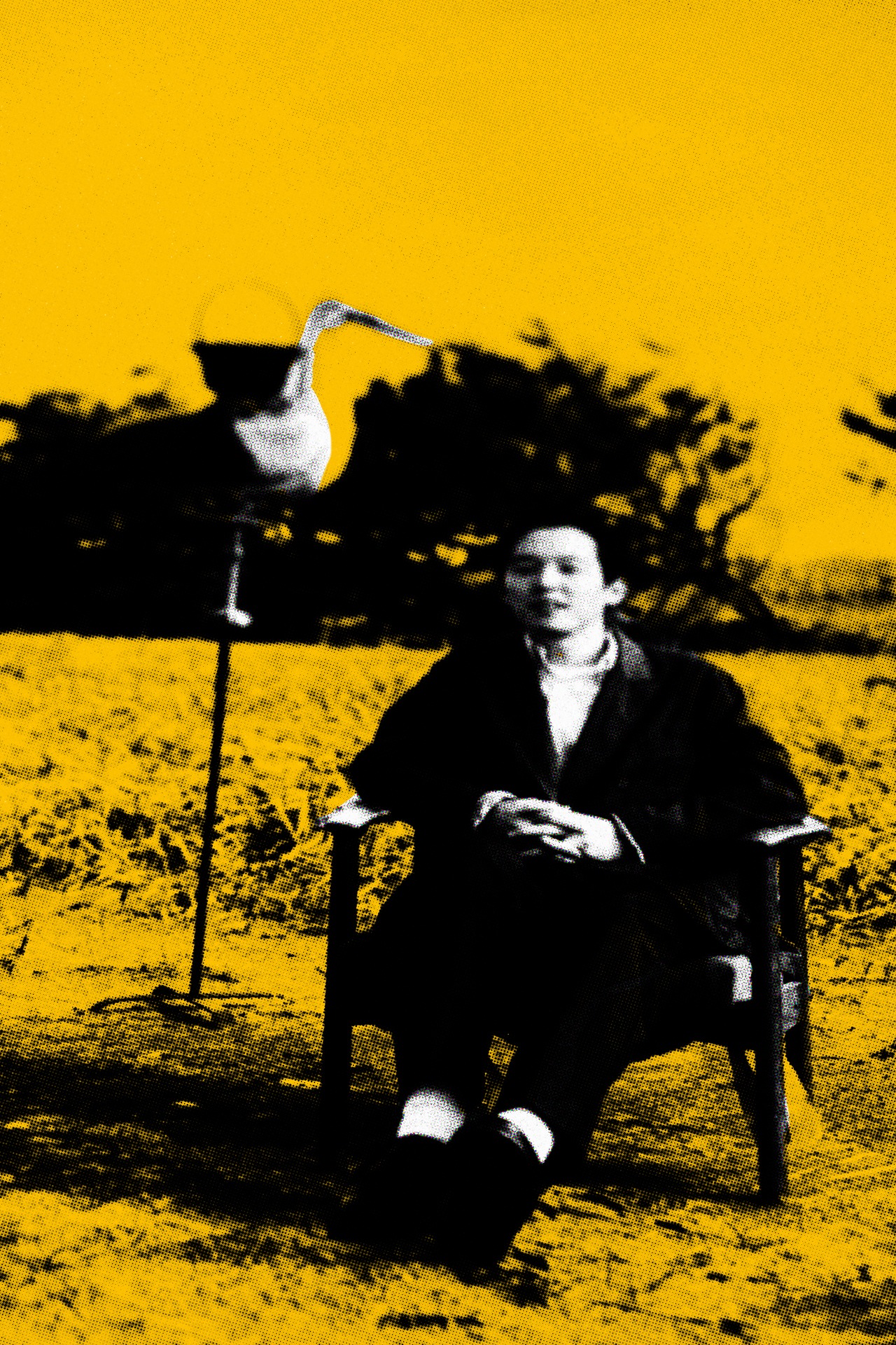 Shohei Takagi Parallela Botanica