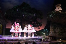 「超ときめき▽宣伝部×サンリオピューロランド『超ときめく世界に宣伝本部とハロー！ハロー！』」の様子。