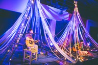 さくらしめじ（撮影：鈴木友莉）