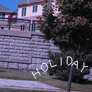 蓮沼執太フィル「HOLIDAY feat. 塩塚モエカ」アナログジャケット