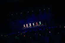 「クマリデパート 7thワンマンライブ in LINE CUBE SHIBUYA『あのクマとあの場所あで』」の様子。（Photo by Jumpei Yamada）