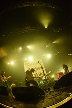 KOTORI（Photo by MASANORI FUJIKAWA）