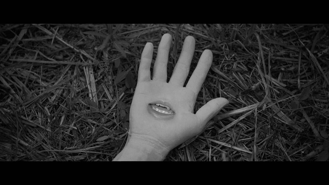 長谷川白紙 + 諭吉佳作/men「巣食いのて」ミュージックビデオのワンシーン。