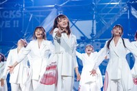 櫻坂46「BACKS LIVE!!」の様子。（撮影：上山陽介）