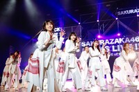 櫻坂46「BACKS LIVE!!」の様子。（撮影：上山陽介）