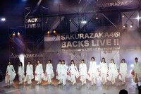 櫻坂46「BACKS LIVE!!」の様子。（撮影：上山陽介）