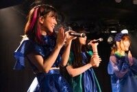 もえにゃん（撮影：倉林和泉）