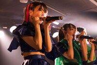 もえにゃん（撮影：倉林和泉）