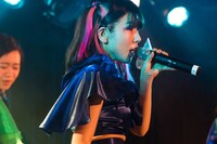 もえにゃん（撮影：倉林和泉）