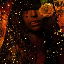 MIGMA SHELTER「Coro Da Noite」ジャケット