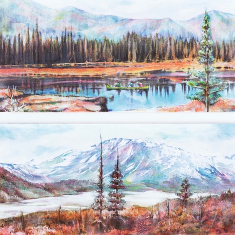 Analogfish「荒野 / On the Wild Side」ジャケット