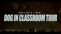 「Document of DOG IN CLASSROOM TOUR」より。