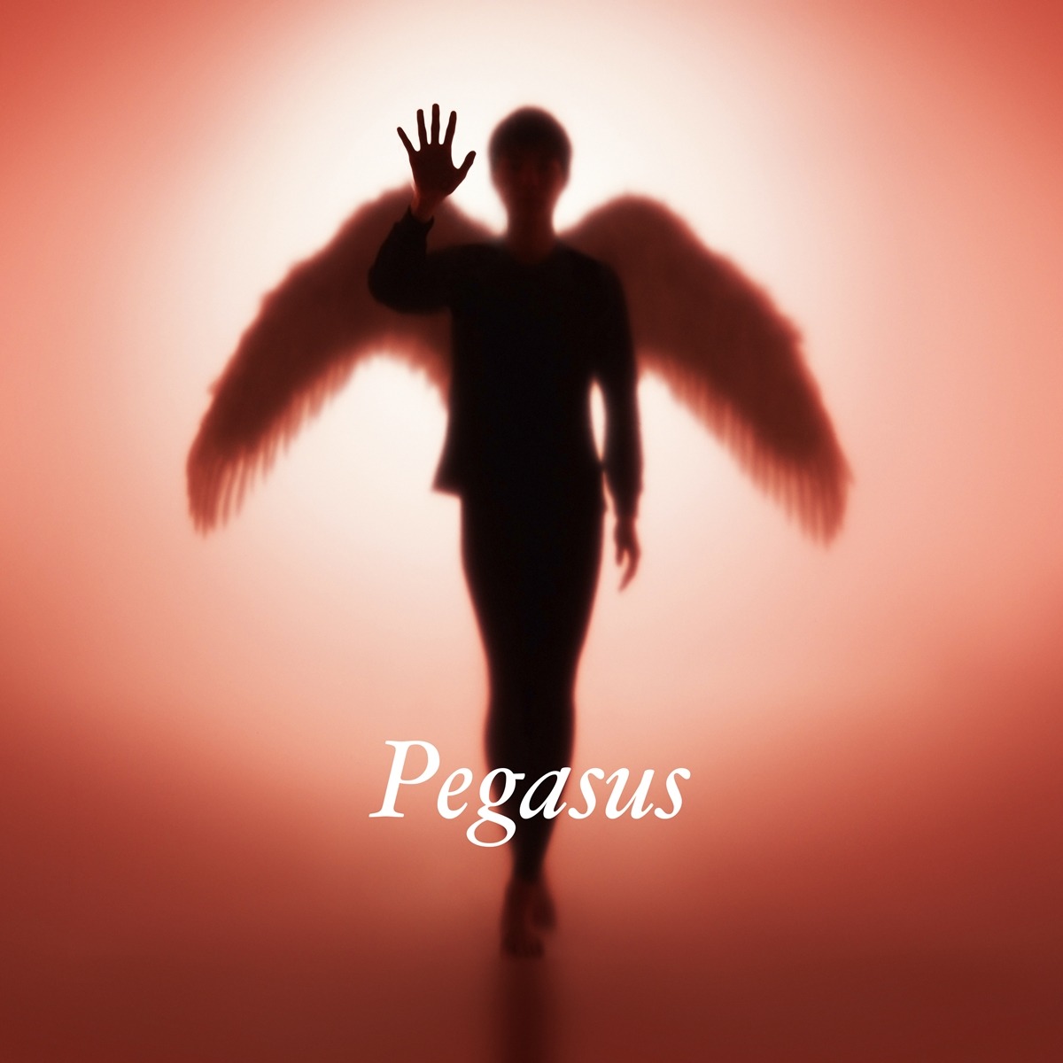 布袋寅泰「Pegasus」ジャケット
