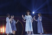 乃木坂46「さ～ゆ～Ready？ ～さゆりんご軍団ライブ / 松村沙友理 卒業コンサート～」の様子。