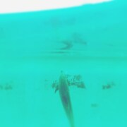 jizue「奏命 feat 荒谷翔大」配信ジャケット