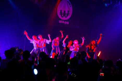 WAgg（Photo by sotobayashi kenta）