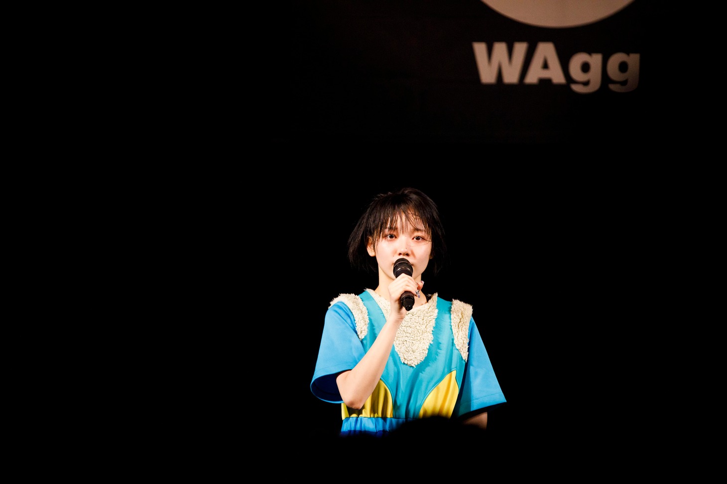 月ノウサギ（Photo by sotobayashi kenta）