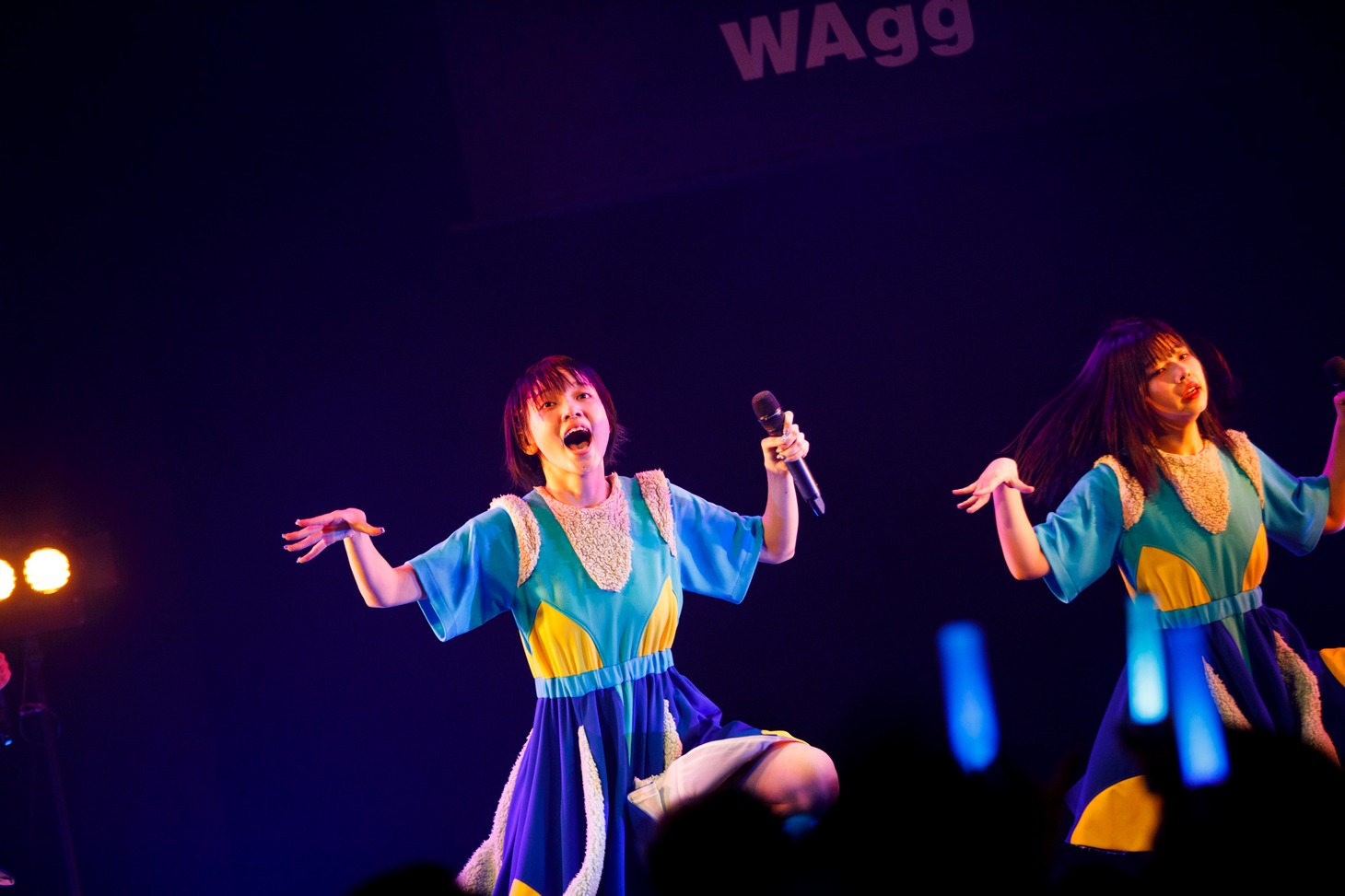 月ノウサギ（Photo by sotobayashi kenta）