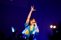 月ノウサギ（Photo by sotobayashi kenta）