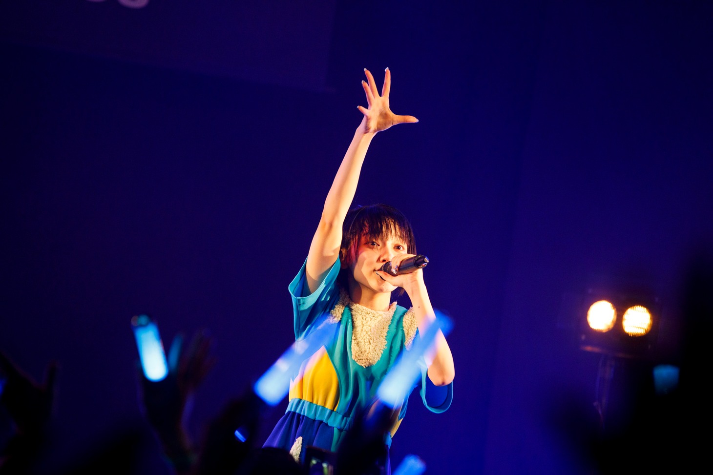 月ノウサギ（Photo by sotobayashi kenta）