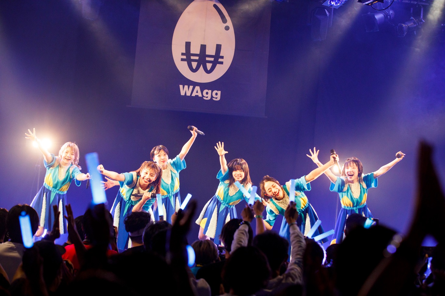 WAgg（Photo by sotobayashi kenta）