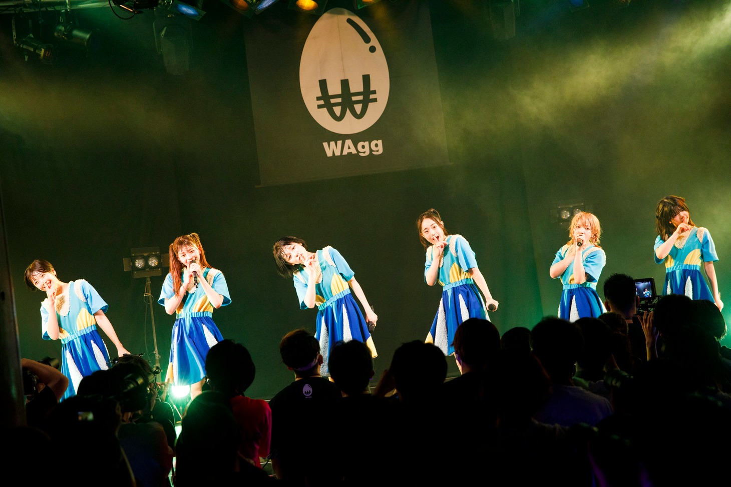 WAgg（Photo by sotobayashi kenta）