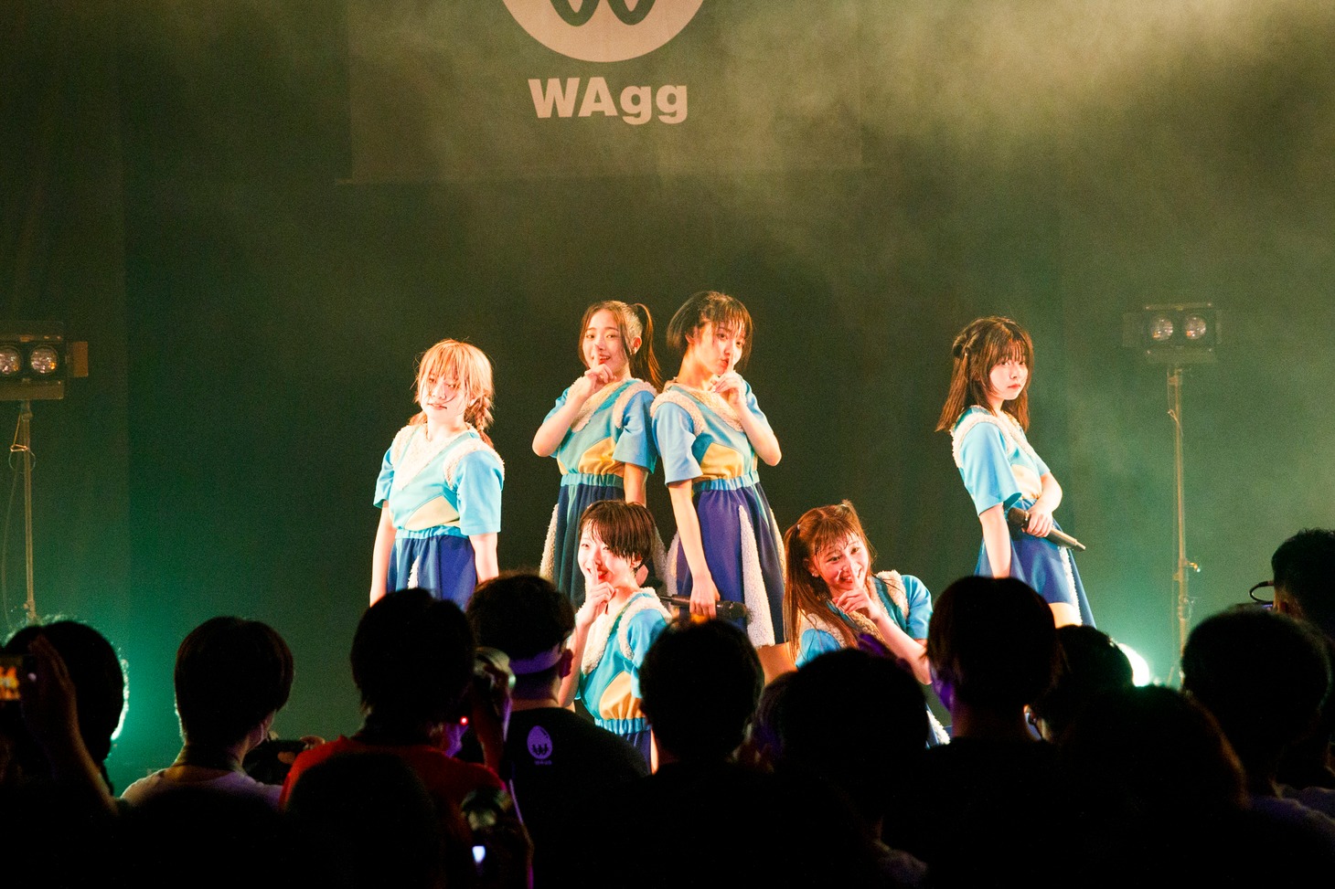 WAgg（Photo by sotobayashi kenta）
