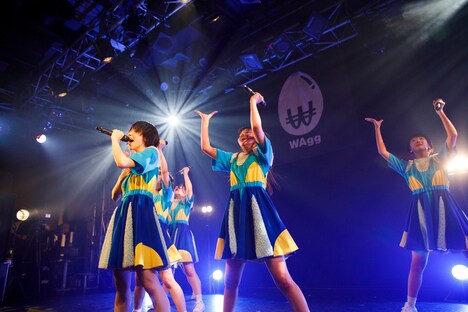 WAgg（Photo by sotobayashi kenta）