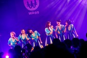 WAgg（Photo by sotobayashi kenta）