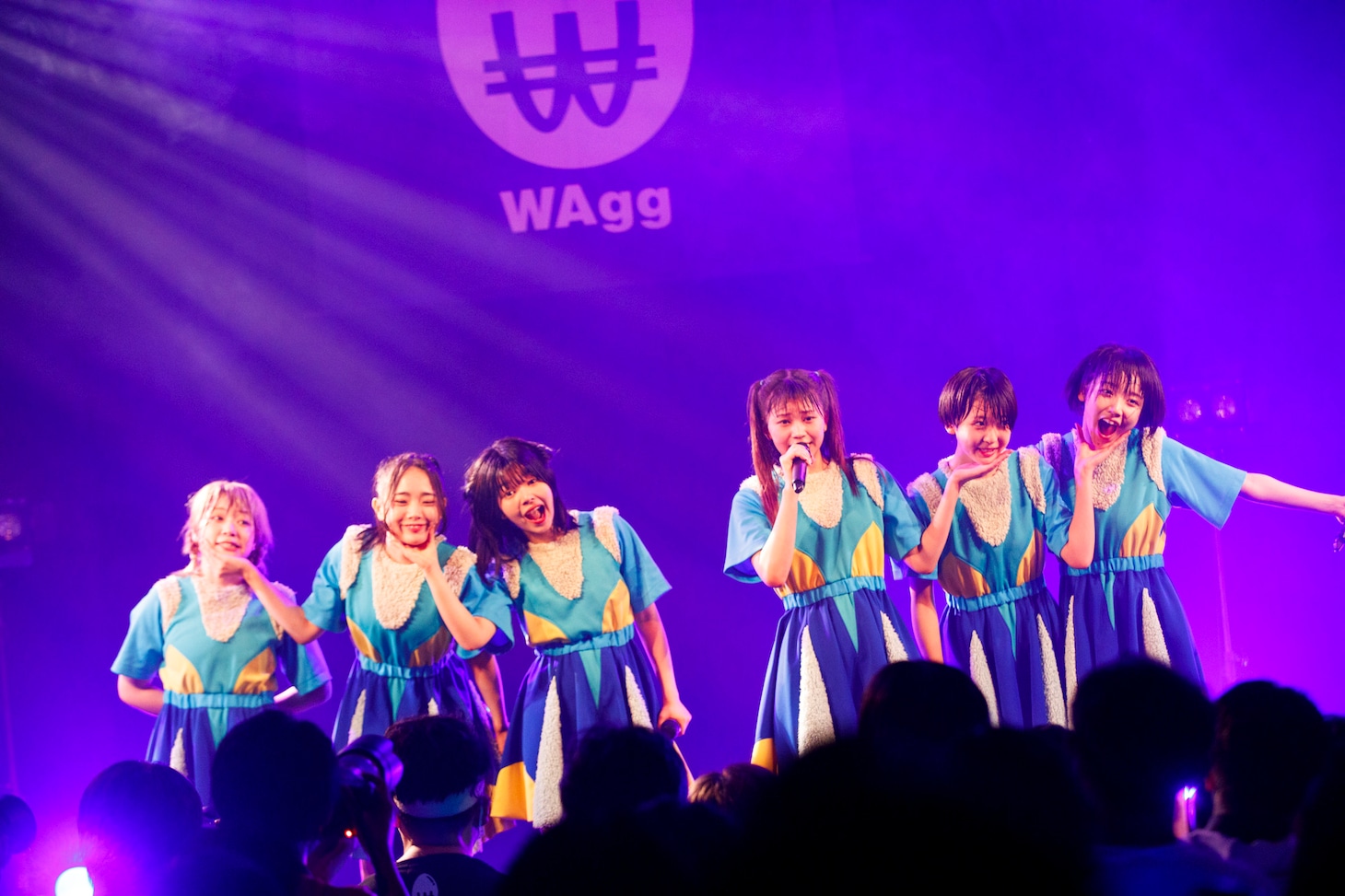 WAgg（Photo by sotobayashi kenta）