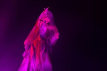 Reol（Photo by Loco Kinoshita）