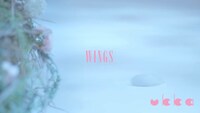ukka「WINGS」ミュージックビデオより。
