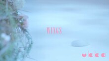 ukka「WINGS」ミュージックビデオより。