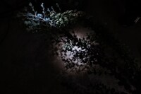 「Ohzora Kimishima × Shuta Nishida Live at W/M basement」撮影現場より。