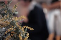 「Ohzora Kimishima × Shuta Nishida Live at W/M basement」撮影現場より。