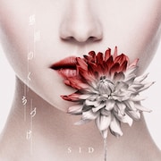 シド「慈雨のくちづけ」配信ジャケット