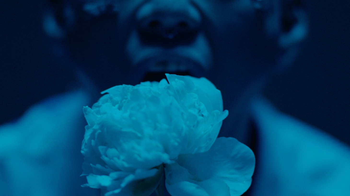 Ryugo Ishida「TATTOO ON MY FACE」ミュージックビデオより。